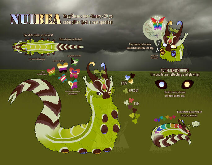 Nuibea, my new fursona reference sheet