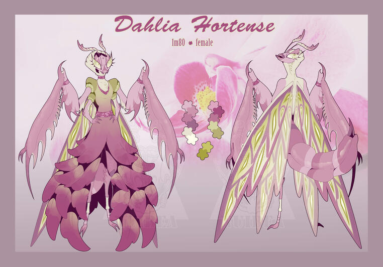 Commission for Taïga Blackfield